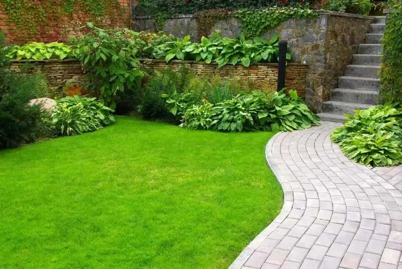 Professional landscaping service Professional landscaping service