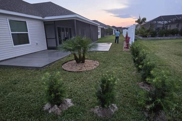 Mendoza Concrete Landscaping & More's other services Mendoza Concrete Landscaping & More's other services
